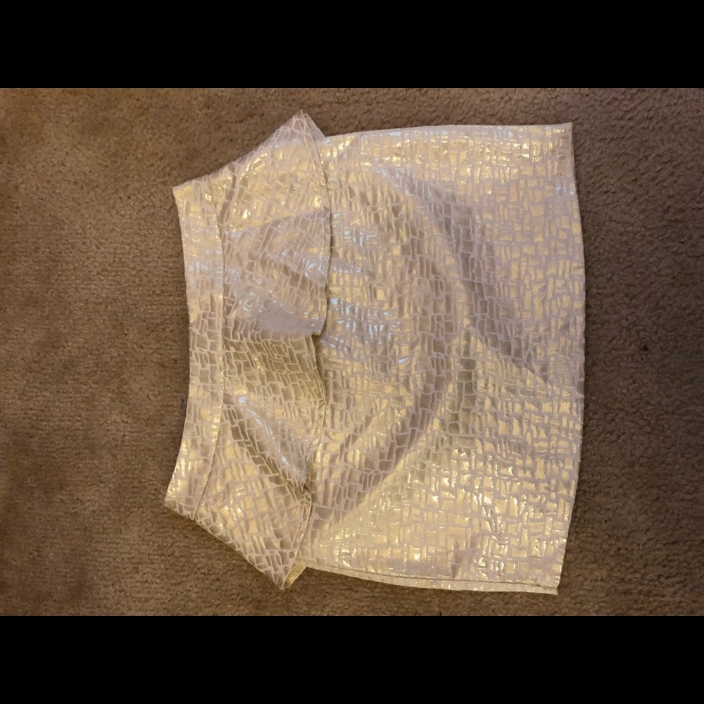 Shiny skirt